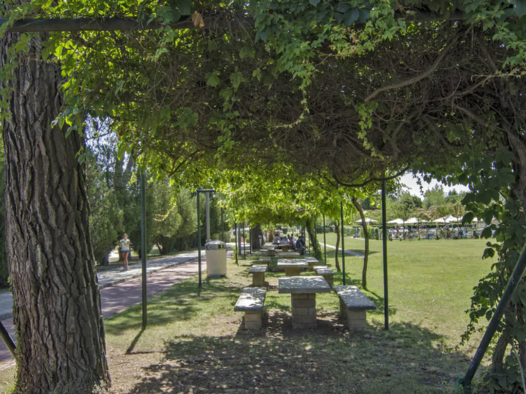 campsite-parco-delle-piscine-garden-benches-in-shade