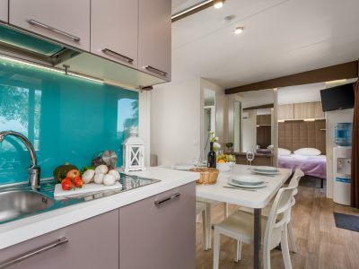 campsite-strasko-mobile-home-olive-interior-kithcen
