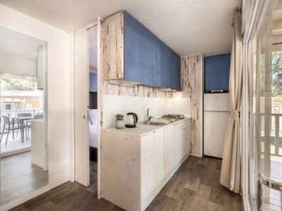 campsite-valkanela-mobile-home-premium-with-bbq-interior-kitchen