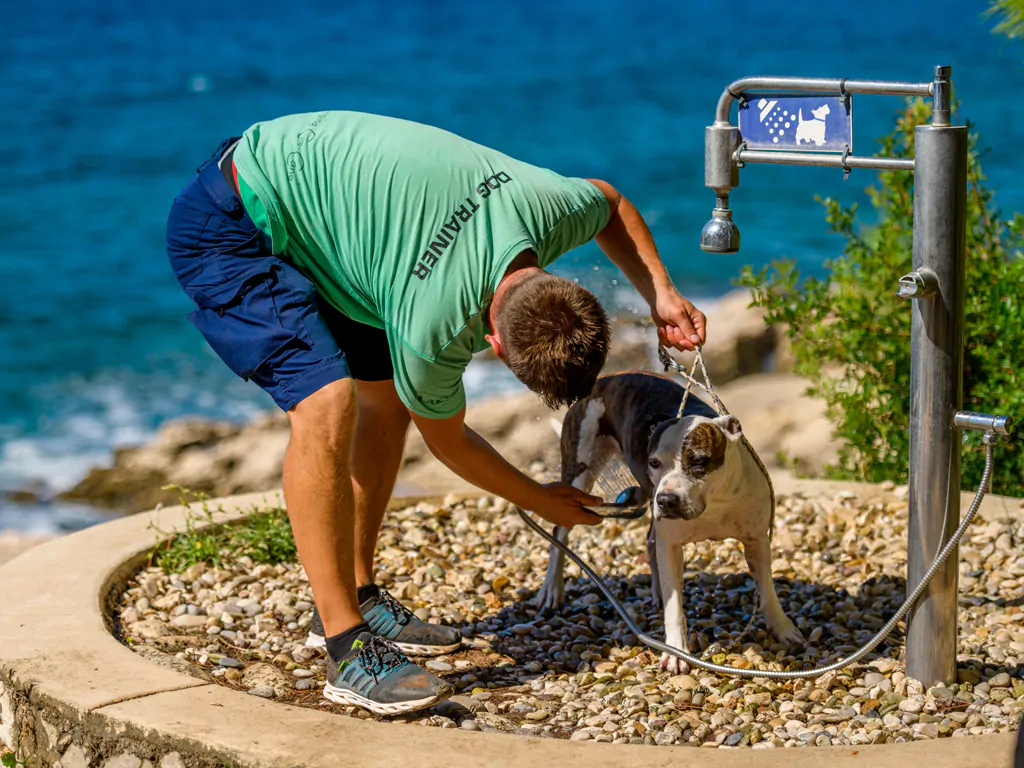 campsite-slatina-exterior-dog-cleaning-station