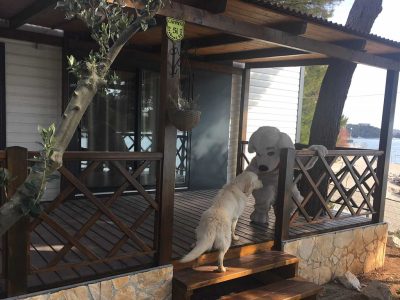 campsite-stobrec-split-mobile-home-vista-sea-view-terrace