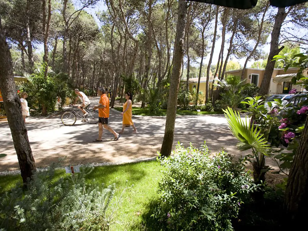 camping-la-vecchia-torre-bungalow-i