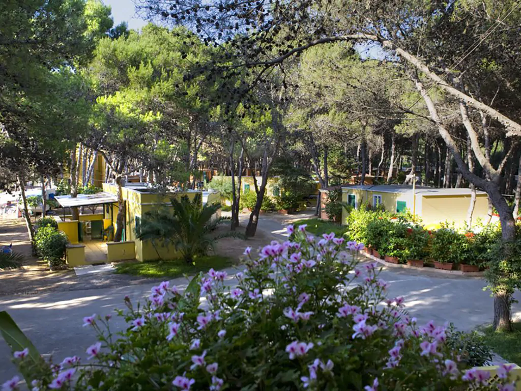 camping-la-vecchia-torre-bungalow