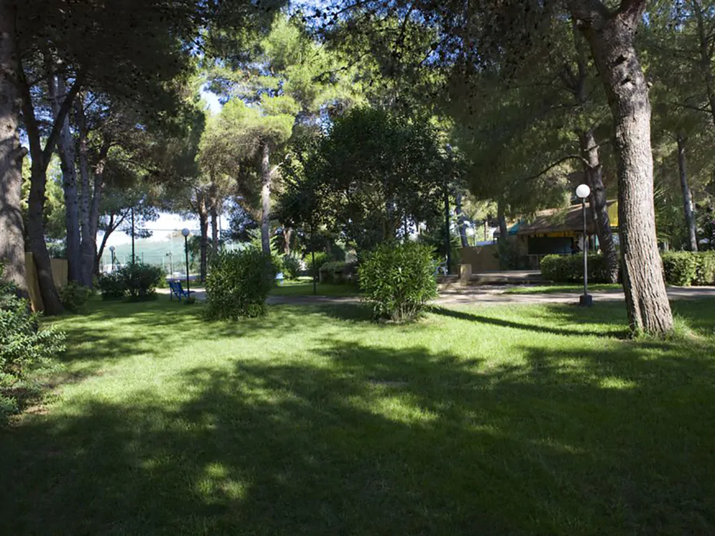 camping-la-vecchia-torre-park