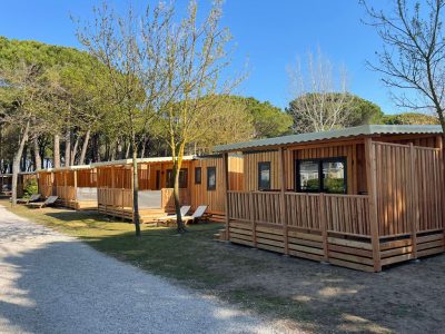 campsite-sun-lodge-babul-exterior-drive-way