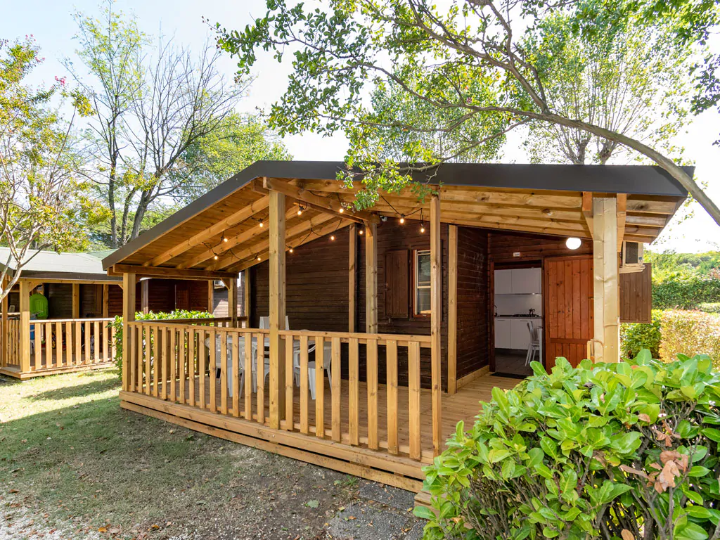 chalet-superior-dog-exterior-front-view