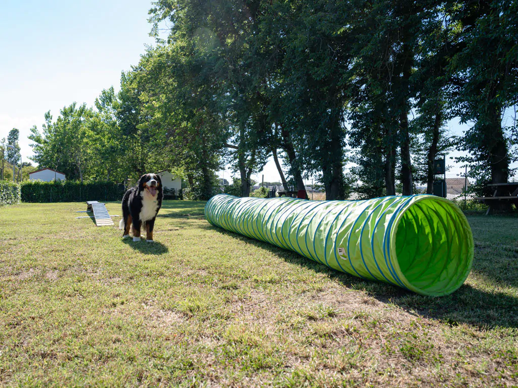 la-risacca-family-camping-village-dogs-playground