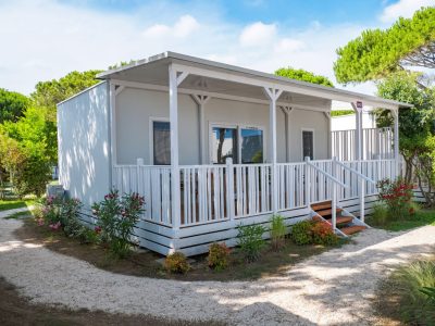 lodge-elite-dog-exterior-front-view