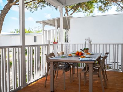 lodge-elite-dog-exterior-terrace