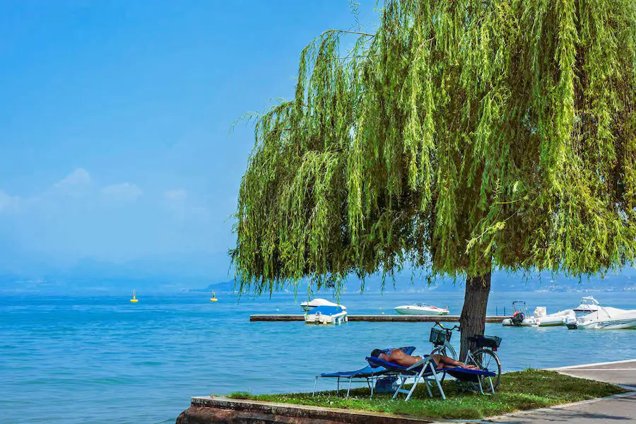 resting-by-the-sea
