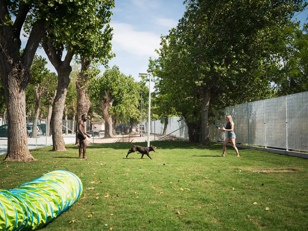 rimini-family-village-dogs-activities