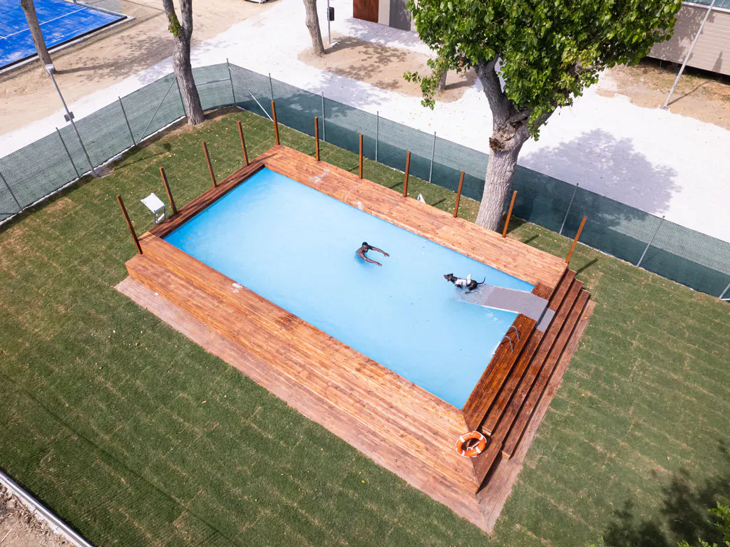 rimini-family-village-dogs-pool-i
