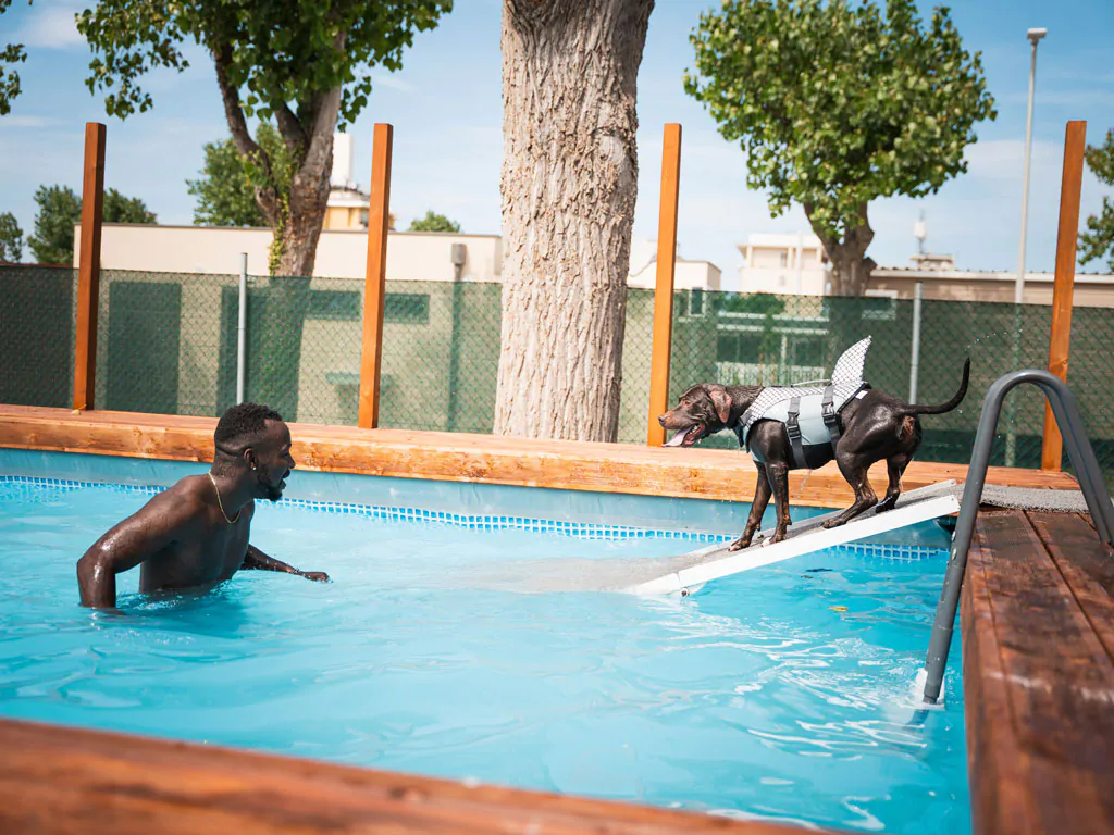rimini-family-village-dogs-pool-ii