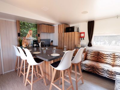 sunlodge-catalpa-panaramic-sea-view-mobile-home-interior-living-room-iv