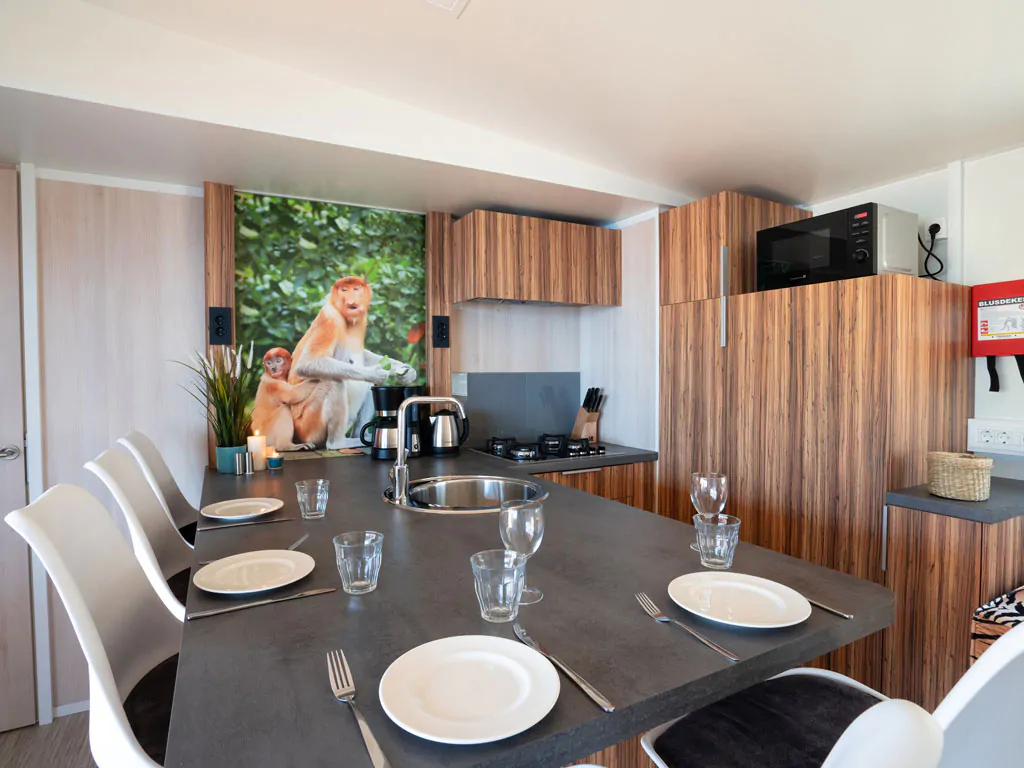 sunlodge-catalpa-panaramic-sea-view-mobile-home-interior-living-room