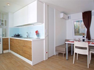 mobile-home-cikat-interior-living-room