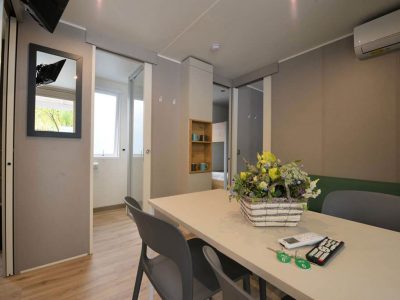 mobile-home-iris-interior-living-room-iii