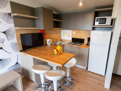 mobile-home-panorama-a-interior-living-room-iii
