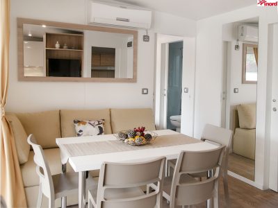 mobile-home-trend-interior-living-room