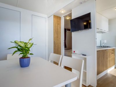 mobile-home-type-i-interior-living-room