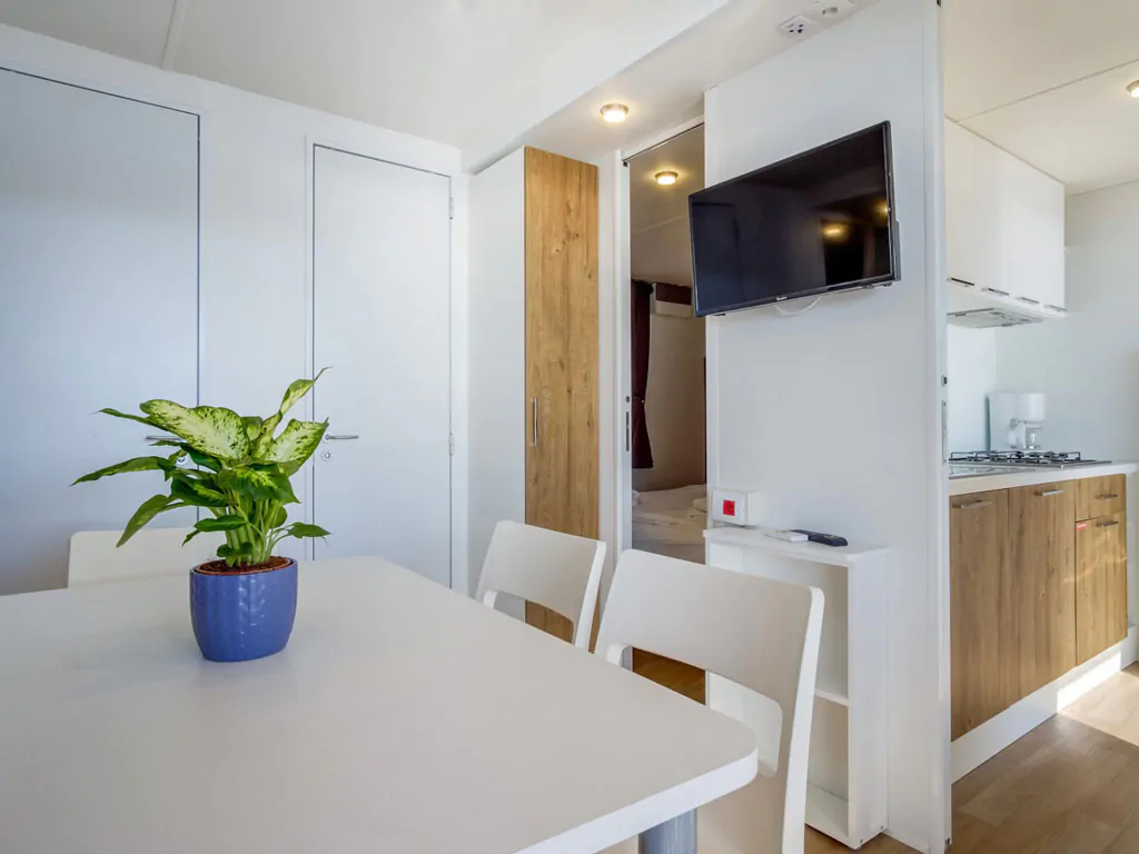 mobile-home-type-i-interior-living-room
