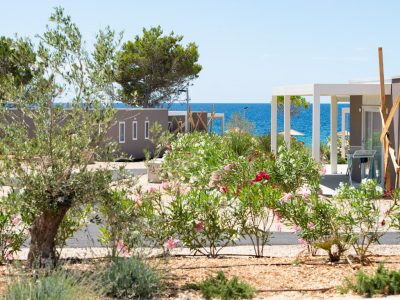 campsite-terra-park-phalaris-pinus-camping-villa-lux-sea-view