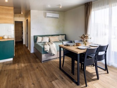 mobile-home-vista-village-mare-interior-living-room-2
