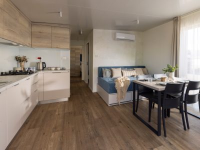mobile-home-vista-village-mare-interior-living-room-ii