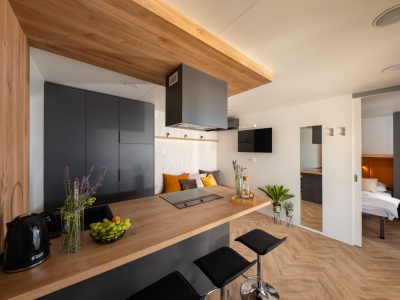 terra-park-phalaris-pinus-camping-villa-interior-kitchen-living-room