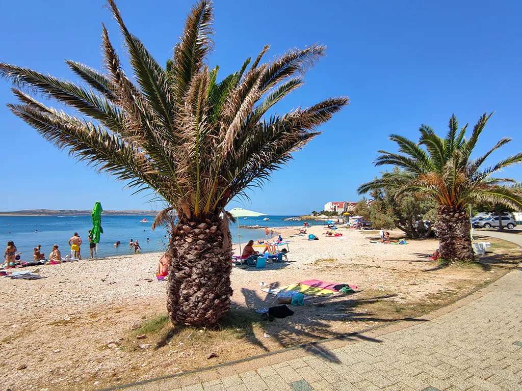 campsite-porat-pebble-beach-i
