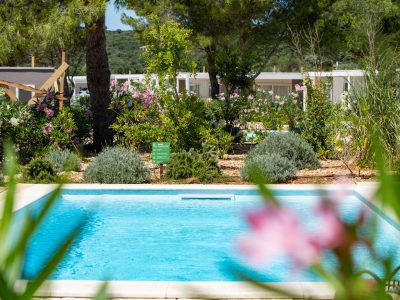 campsite-terra-park-phalaris-mobile-home-tamaris-camping-villa-pool