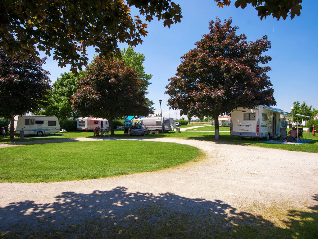 terme-ptuj-pitches