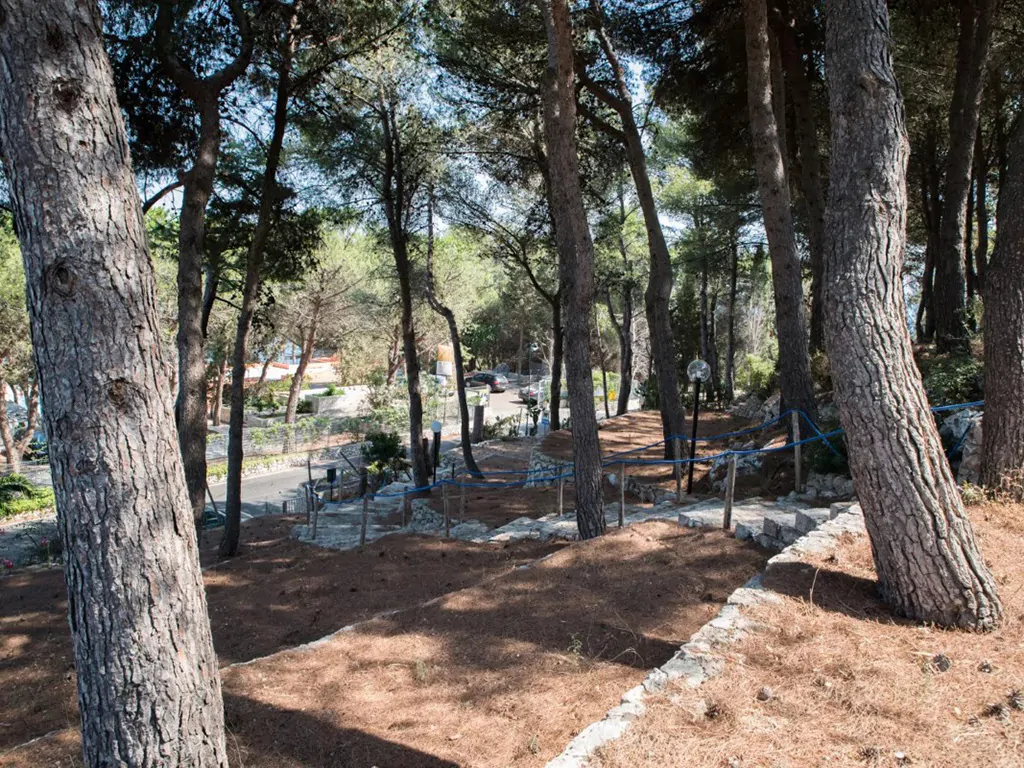 camping-la-scogliera-restaurant-woods
