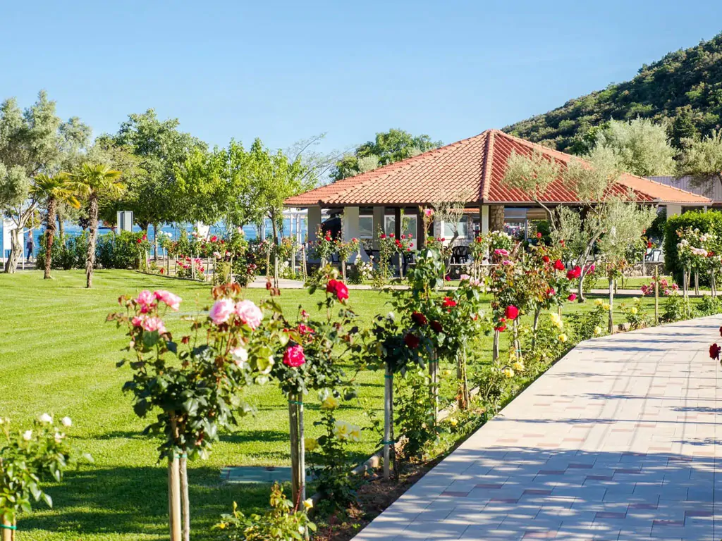 campsite-oliva-nature
