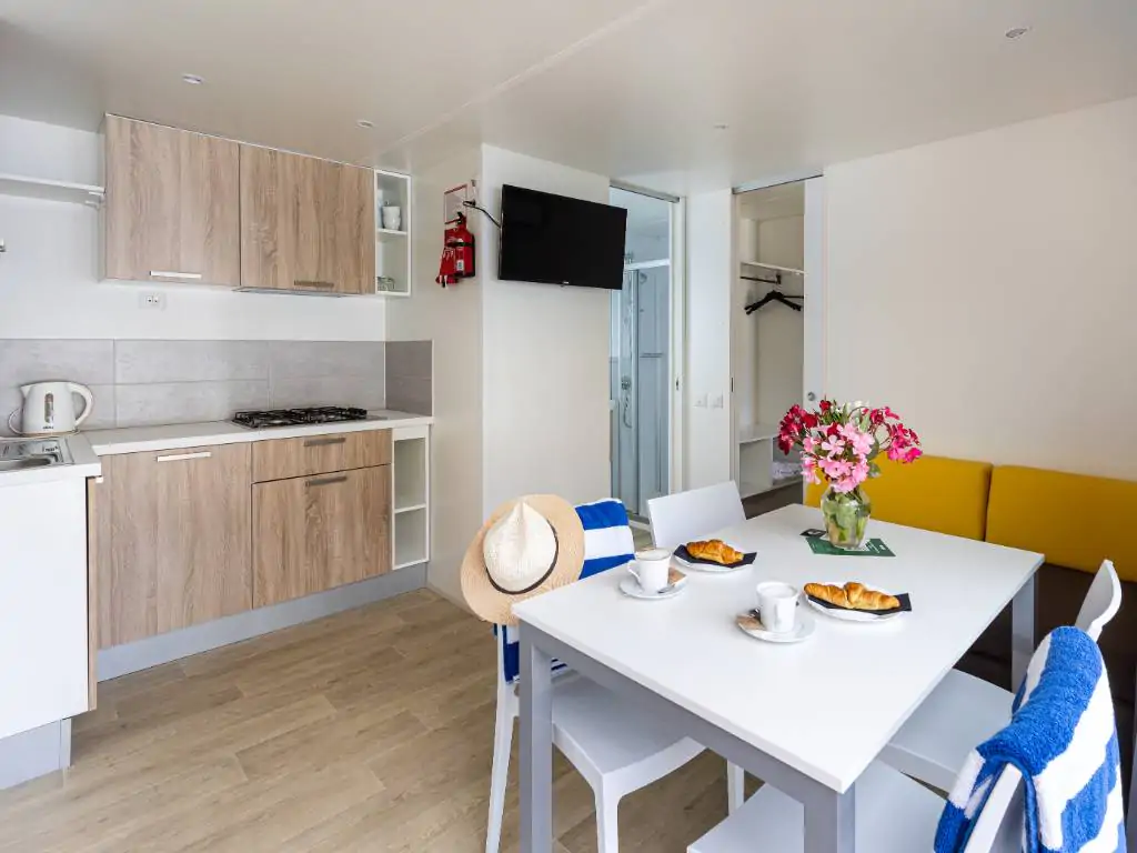 kamp-oliva-premuim-4-living-room-with-tv