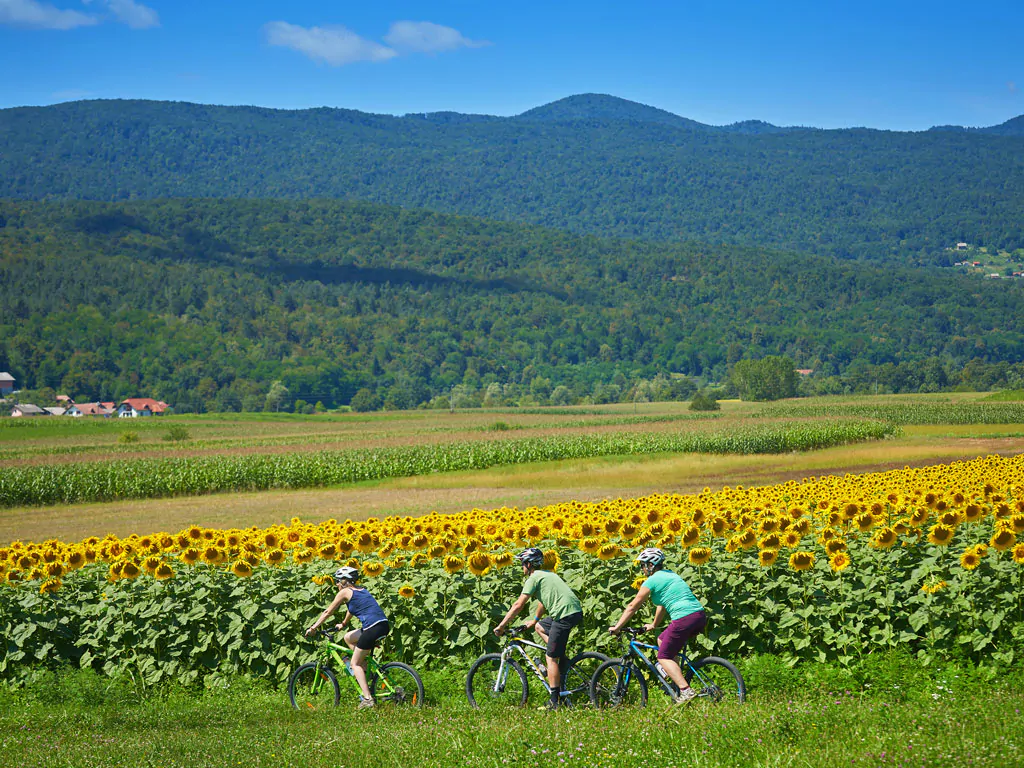 kolpa-resort-glaming-cycling