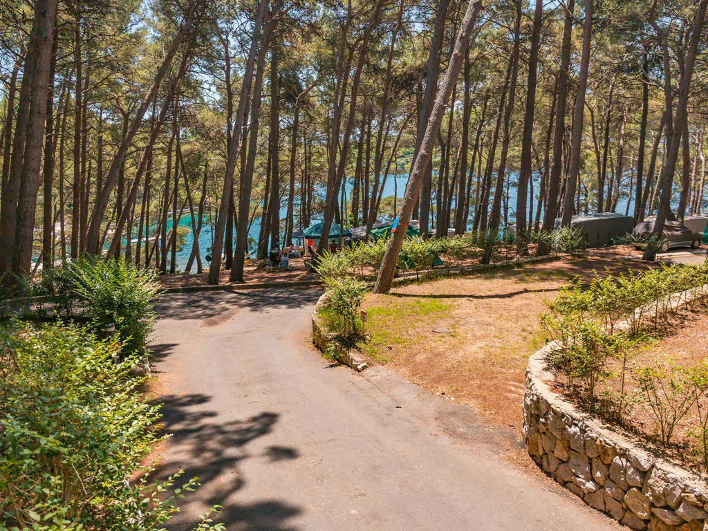 campsite-bijar-path-view-2