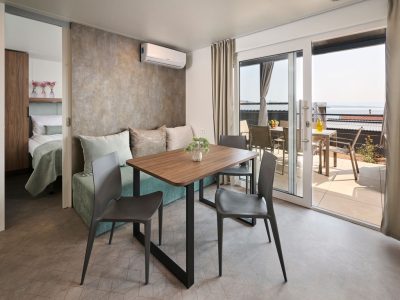 aminess-atea-mobile-home-premium-interior-living-room-dinig-area