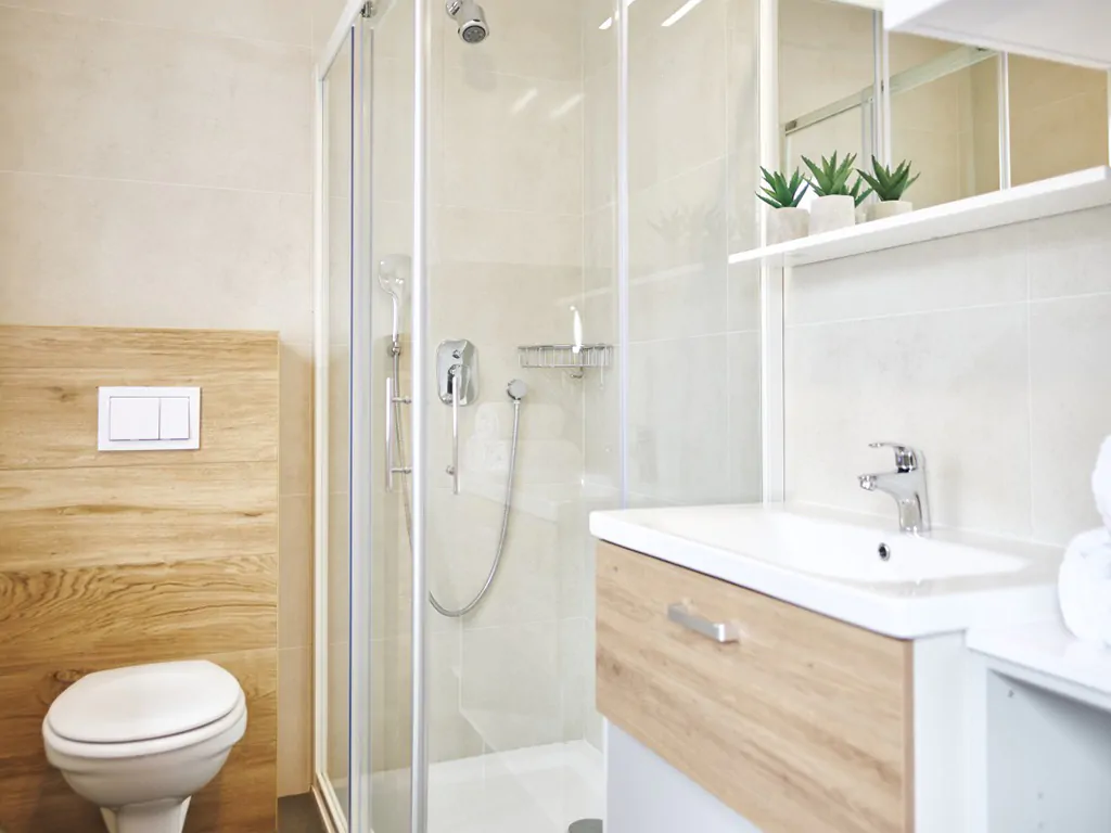 terme-catez-apartments-lux-plus-interior-bathroom