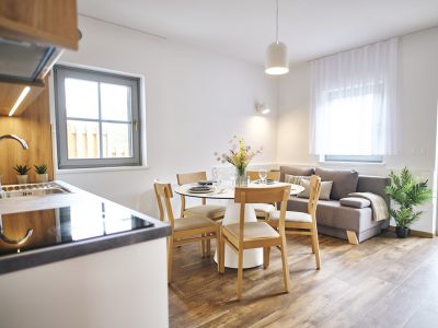 terme-catez-apartments-lux-plus-interior-living-room-kitchen