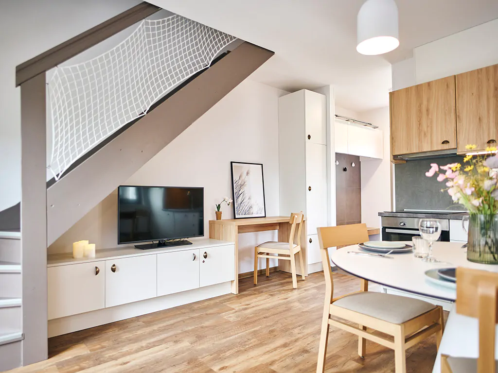 terme-catez-apartments-lux-plus-interior-living-room-kitchen-i