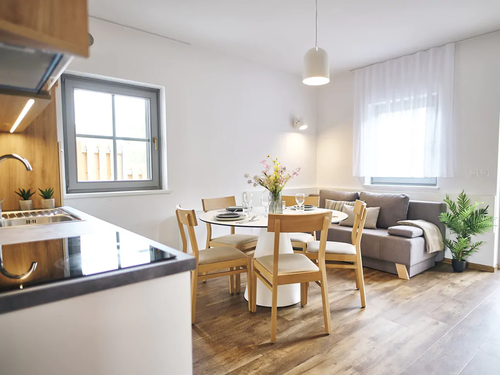 terme-catez-apartments-lux-plus-interior-living-room-kitchen