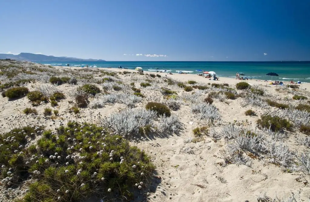 camping-village-baia-paradiso-sandy-beach-sea