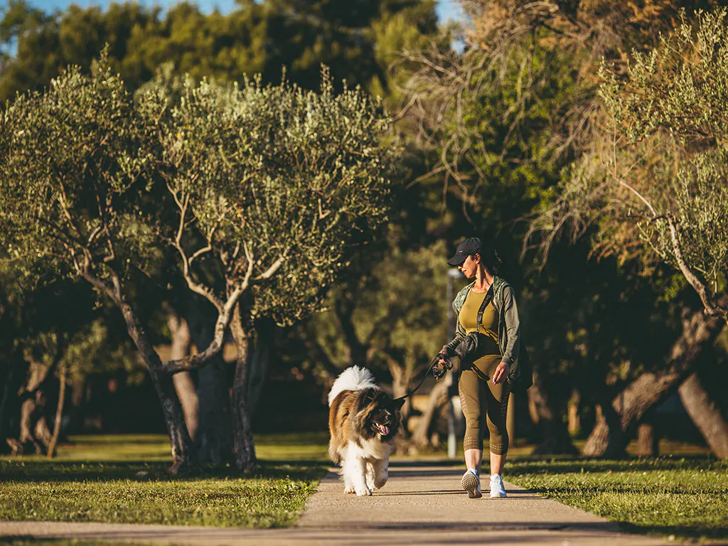 campsite-koversada-covered-dog-friendly
