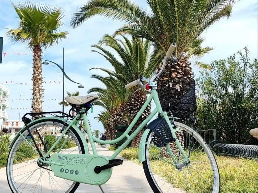 duca-amadeo-camping-village-rent-a-bike