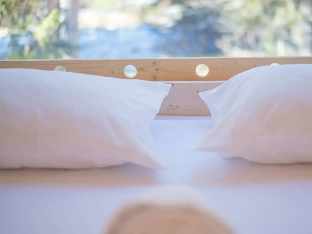 sass-dlacia-forest-cabin-interior-bedroom-pillows