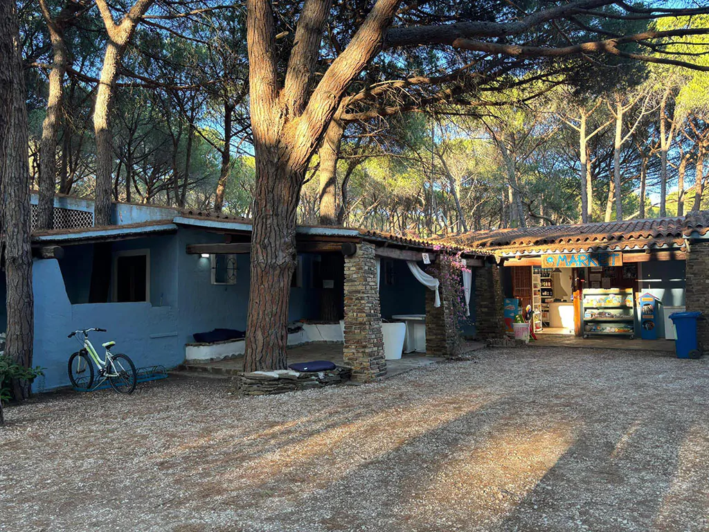 selema-camping-market