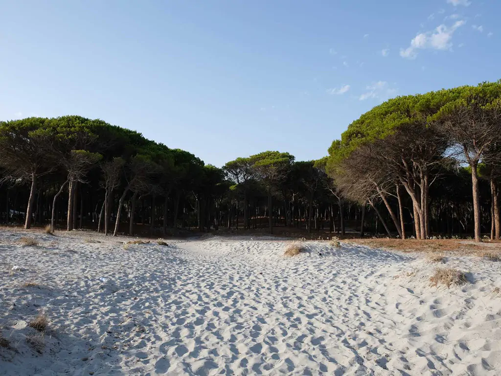 selema-camping-sandy-beach