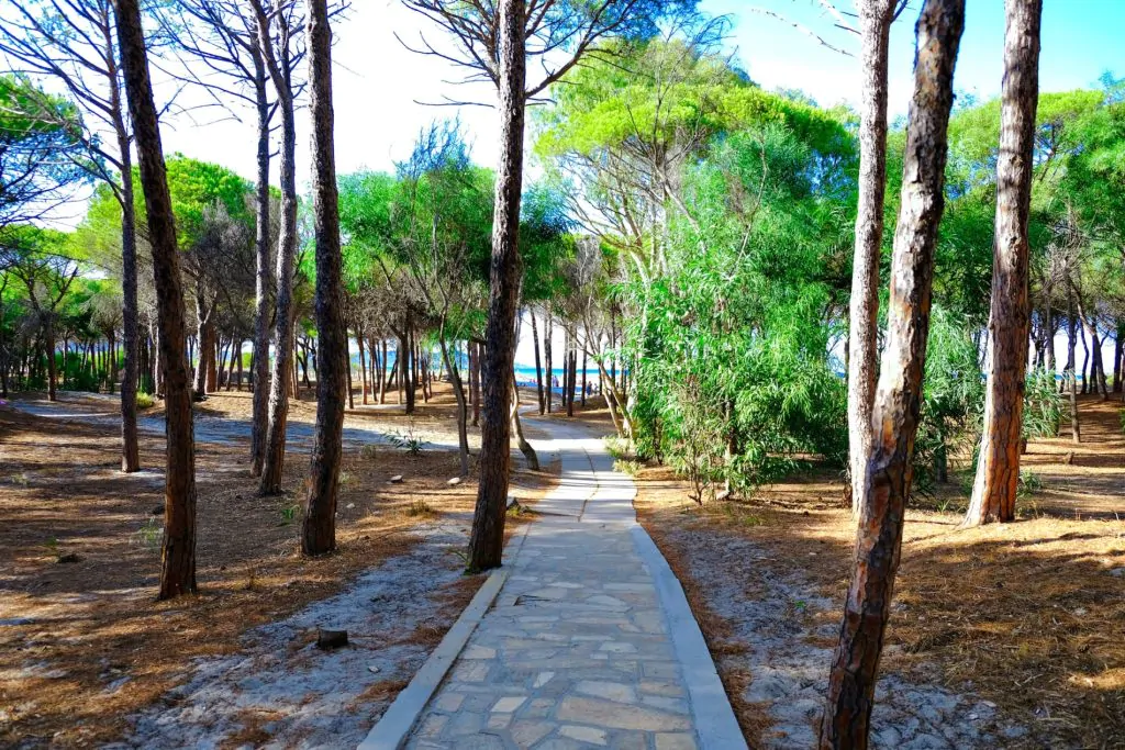 selema-camping-way-to-the-beach