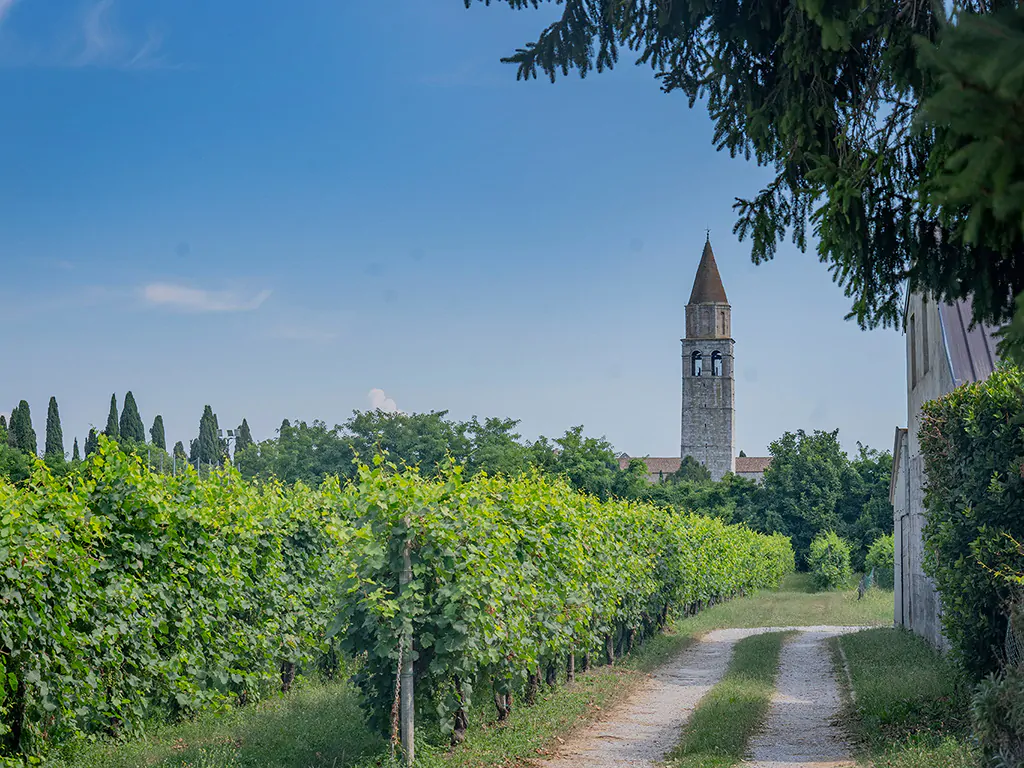 belvedere-pineta-camping-village-church